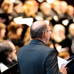 Allerheiligen Stephansdom / Erzdiözese Wien/Schönlaub, Stephan Schönlaub Allerheiligen Stephansdom