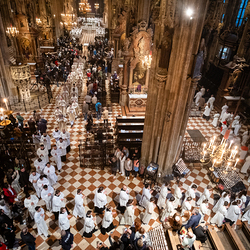 Chrisammesse 2025 / Erzdiözese Wien/ Schönlaub, Stephan Schönlaub
