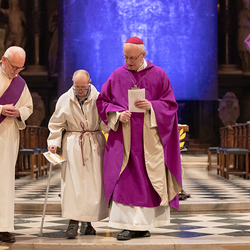 WDST 2024 im Stephansdom / Erzdiözese Wien/Schönlaub