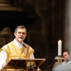 Allerheiligen Stephansdom / Erzdiözese Wien/Schönlaub, Stephan Schönlaub Allerheiligen Stephansdom