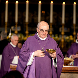 Stephansdom: Österreich nahm Abschied von Papst Franziskus / Erzdiözese Wien/ Schönlaub, Stephan Schönlaub Stephansdom: Österreich nahm Abschied von Papst Franziskus