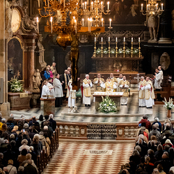 Allerheiligen Stephansdom / Erzdiözese Wien/Schönlaub, Stephan Schönlaub Allerheiligen Stephansdom