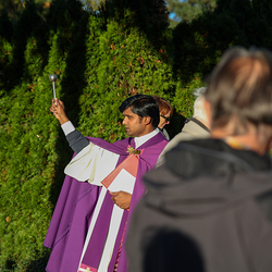 Erzdiözese Wien/Schönlaub
