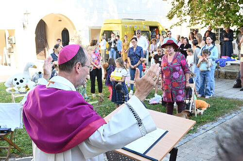 5 Jahre Bildungsakademie